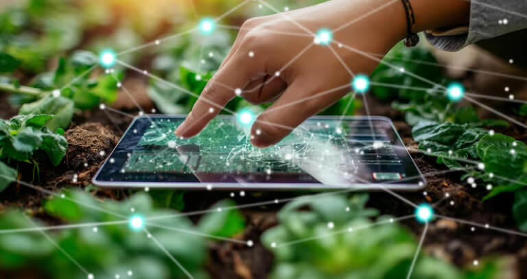 How AI Applications in Agriculture Improve Crop Yield & Efficiency