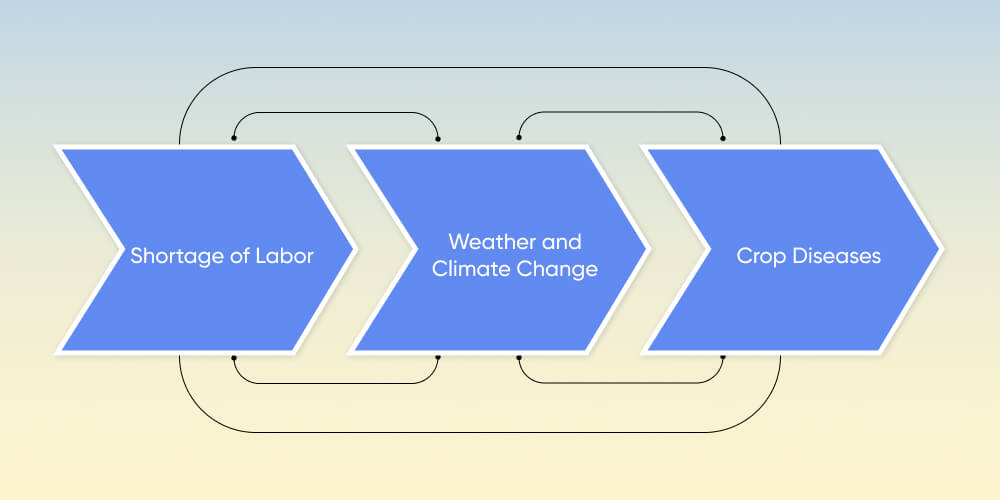 The Current Challenges in Agriculture