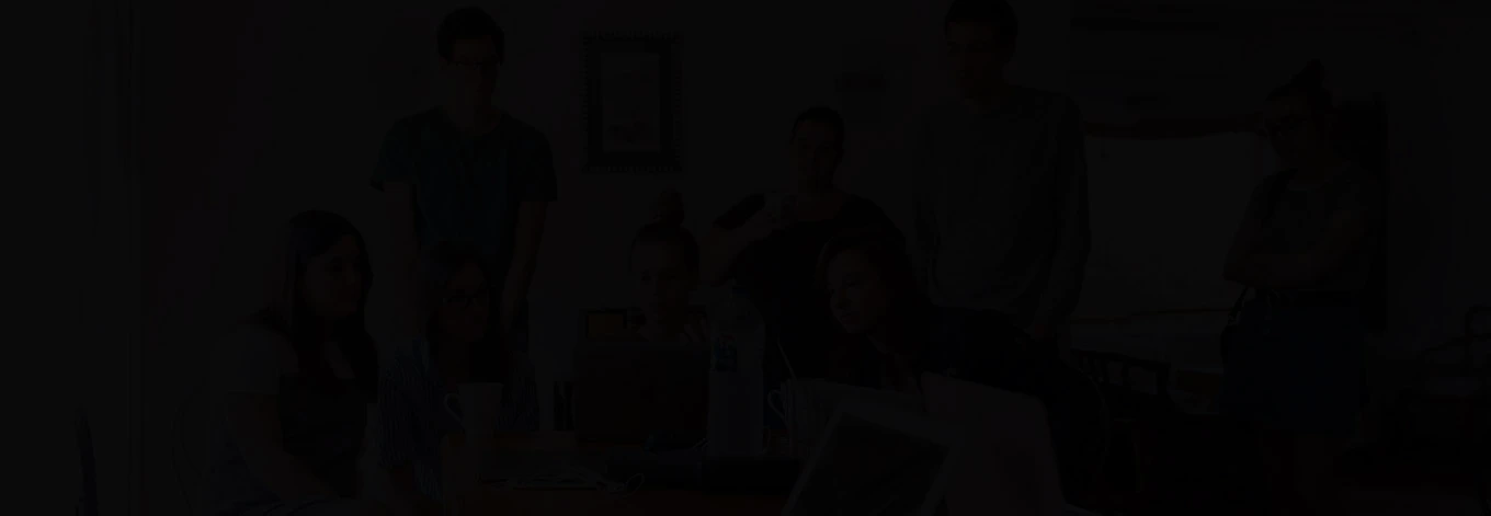 Dedicated Development Team
